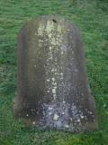 image of grave number 19622